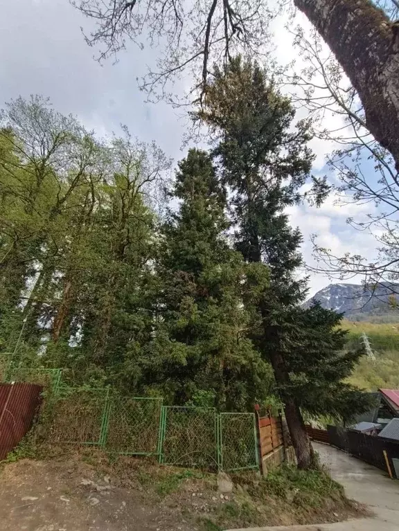 Участок в Краснодарский край, Сочи Красная Поляна пгт, ул. Мичурина ... - Фото 2