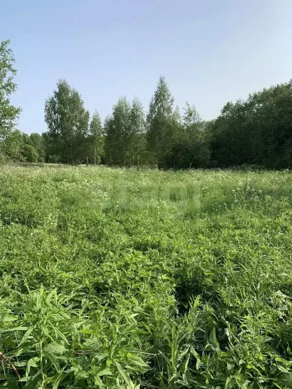 Участок в Ярославская область, Даниловский муниципальный округ, д. ... - Фото 1