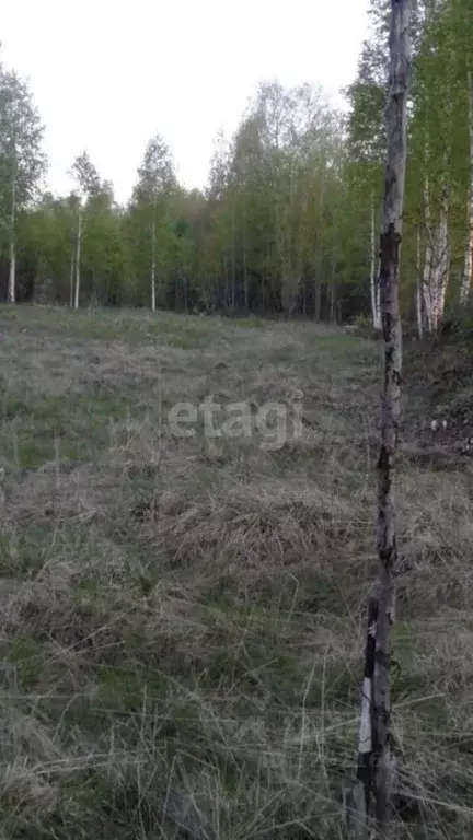 Участок в Свердловская область, Нижний Тагил Грунтовая ул., 2 (10.02 ... - Фото 1