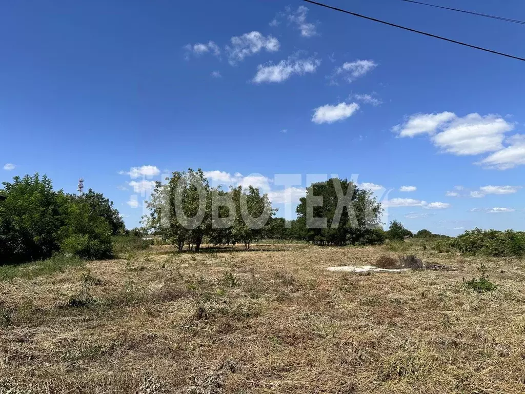 Участок в Краснодарский край, Северский район, Львовское с/пос, с. ... - Фото 1