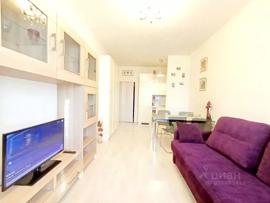 Студия Санкт-Петербург просп. Солидарности, 9к3 (28.0 м) - Фото 2