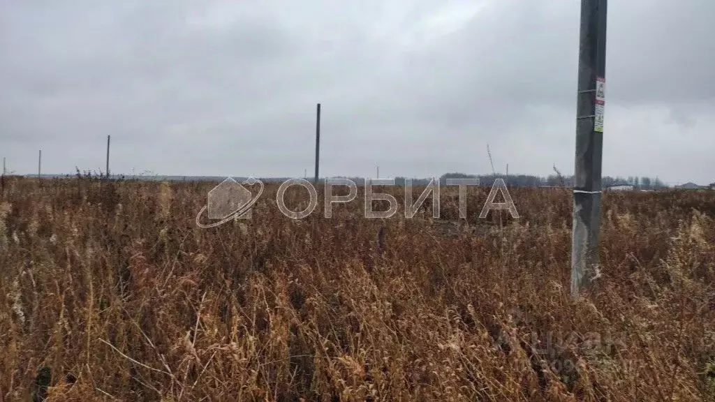 Участок в Тюменская область, Тюменский район, д. Елань, Австралия кп  ... - Фото 0