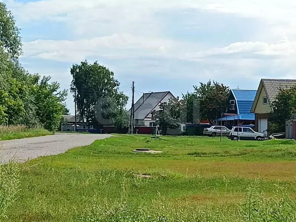 Участок в Алтайский край, с. Романово ул. Фрунзенская, 77 (36.2 сот.) - Фото 1