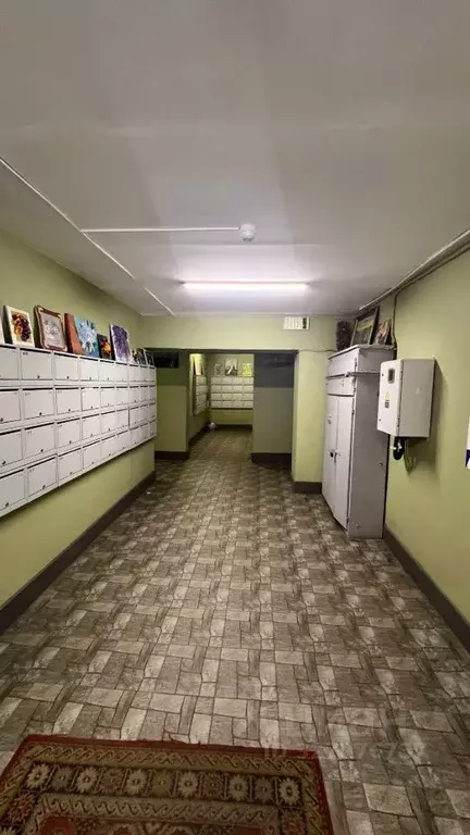 1-к кв. Санкт-Петербург ул. Орджоникидзе, 57 (34.9 м) - Фото 2