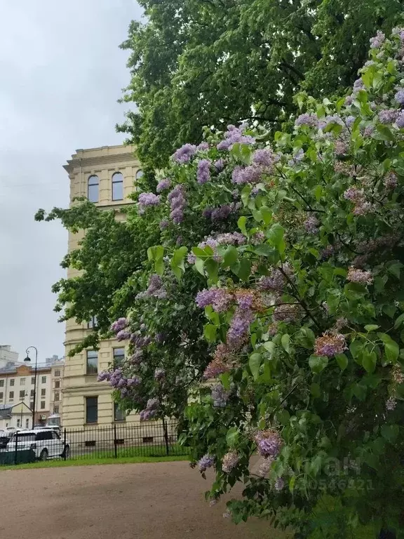 5-к кв. Санкт-Петербург Смольный просп., 6 (200.0 м) - Фото 2
