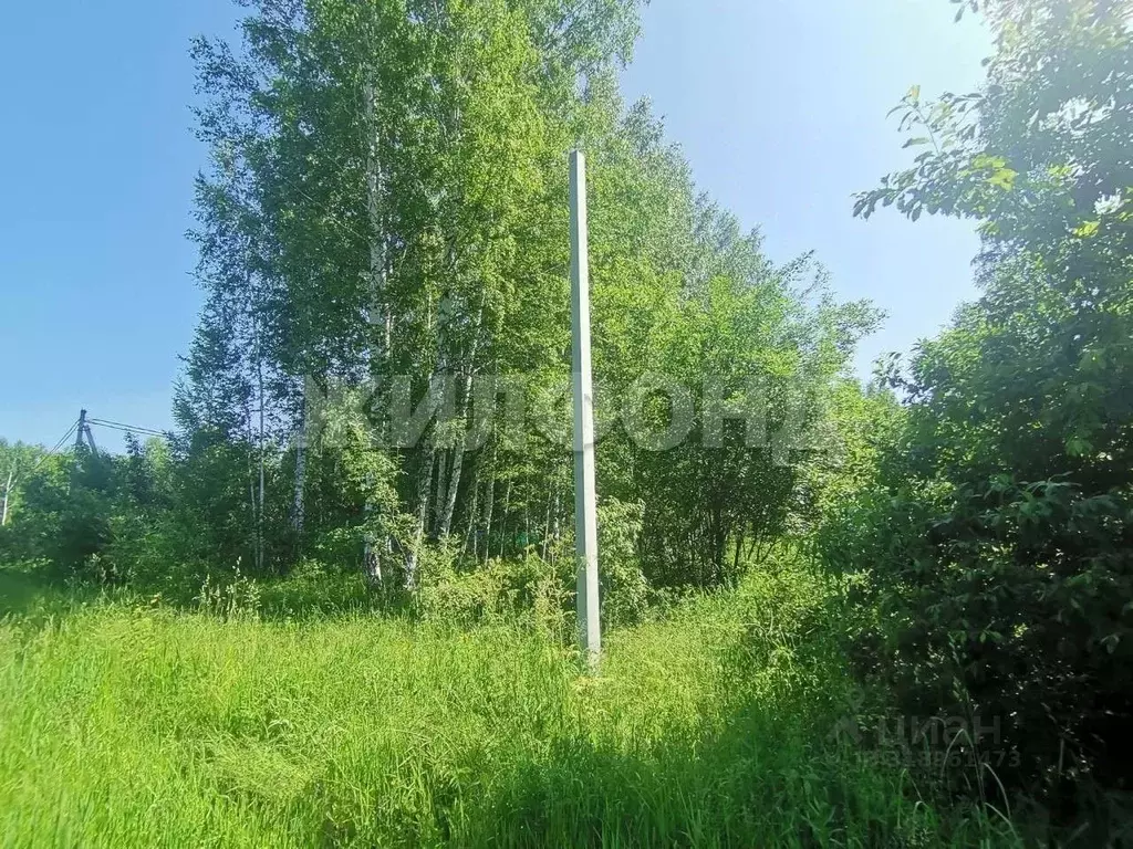 Участок в Новосибирская область, Новосибирский район, Станционный ... - Фото 1
