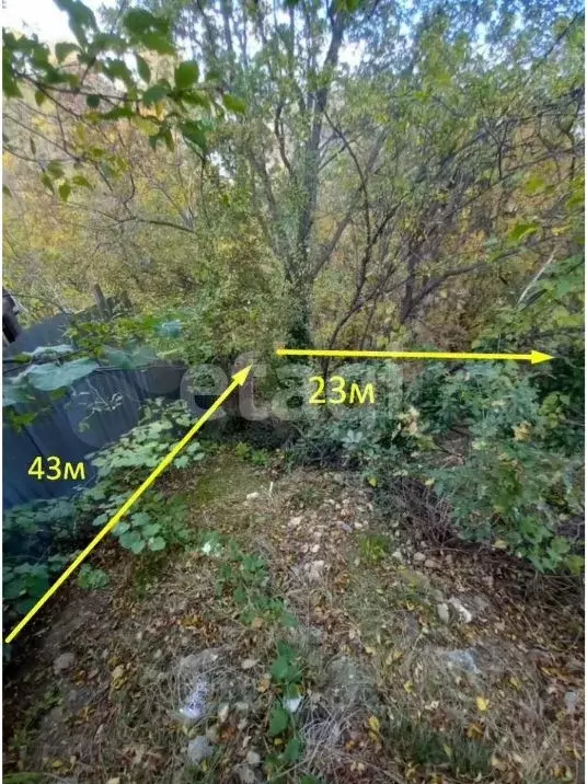 Участок в Крым, Ялта пер. Лукомского, 14 (6.4 сот.) - Фото 2