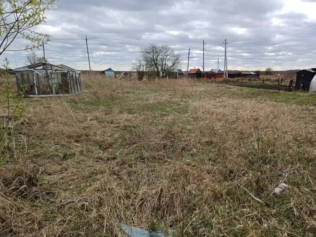 Участок в Новосибирский район, село Криводановка (10 м) - Фото 1