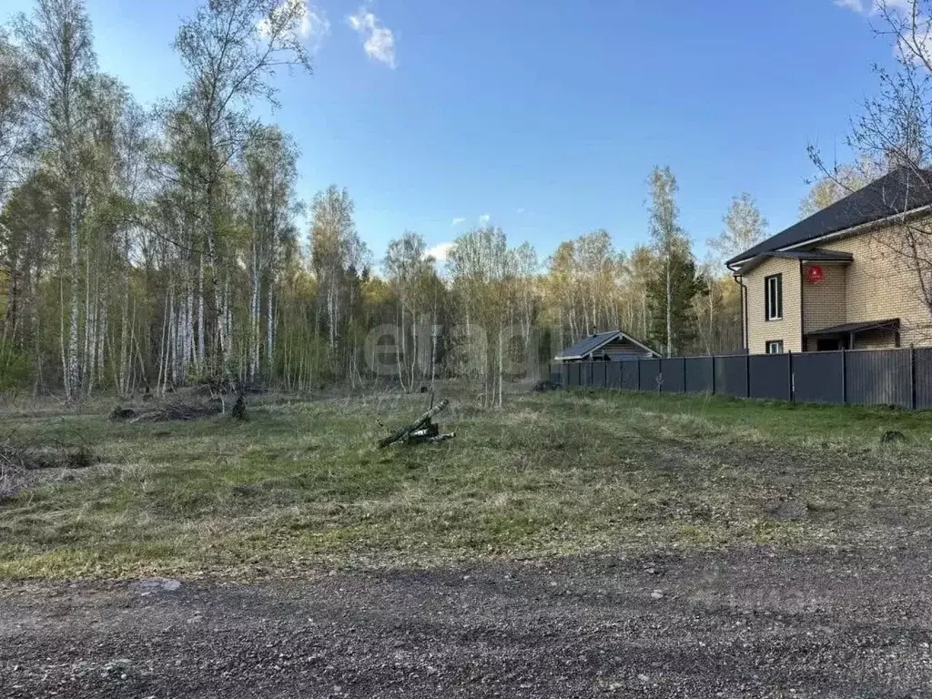 Участок в Курганская область, Кетовский муниципальный округ, д. Лукино ... - Фото 1