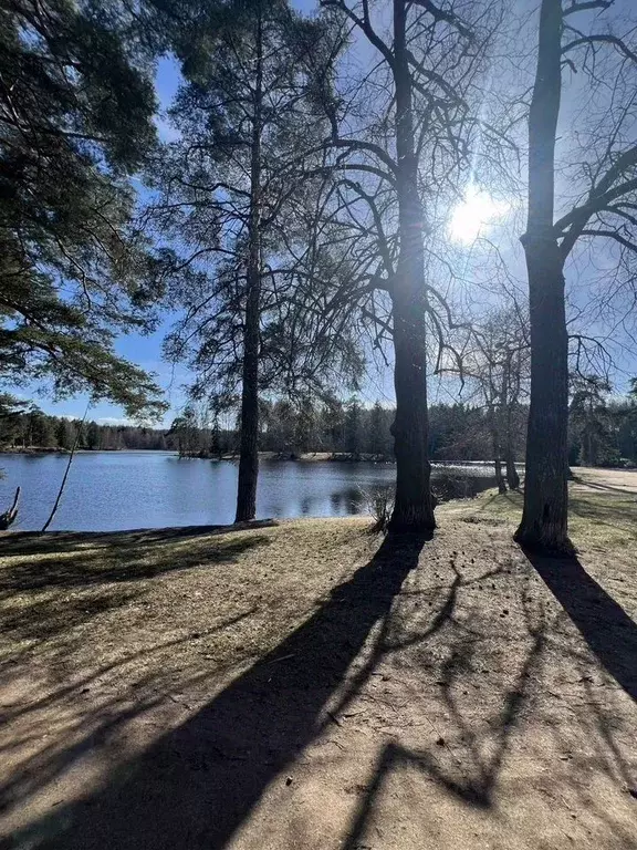 Дом в Санкт-Петербург, Санкт-Петербург, Петергоф Троицкая Гора тер.,  ... - Фото 1