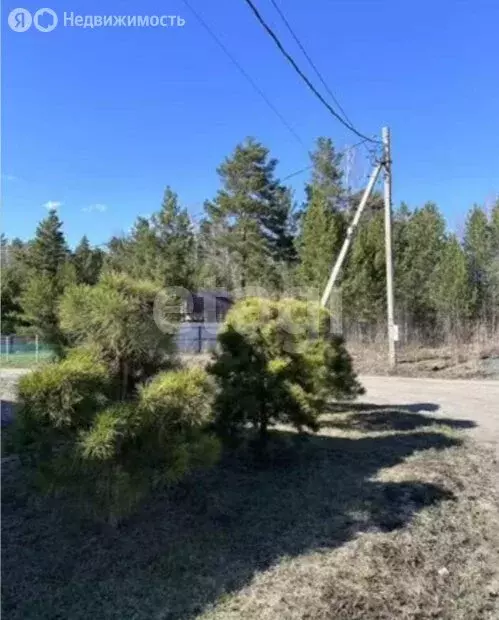 Участок в Кубовинский сельсовет, СНТ Лидер (8.7 м) - Фото 2