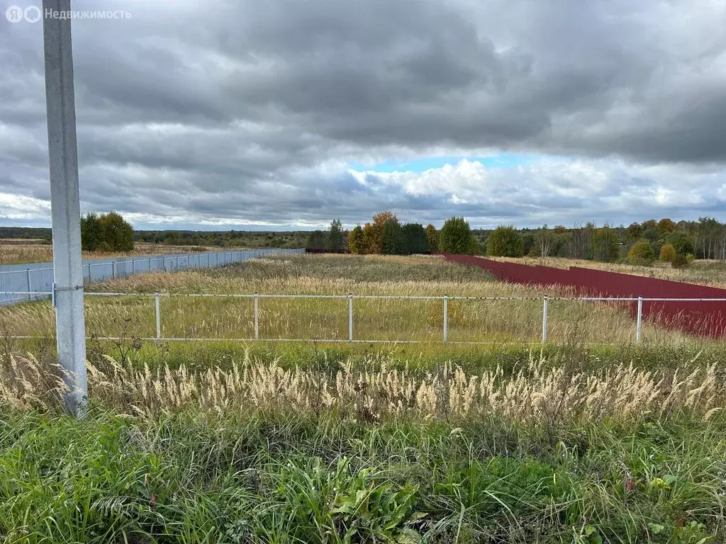 Участок в Владимирская область, Александровский муниципальный округ, ... - Фото 1