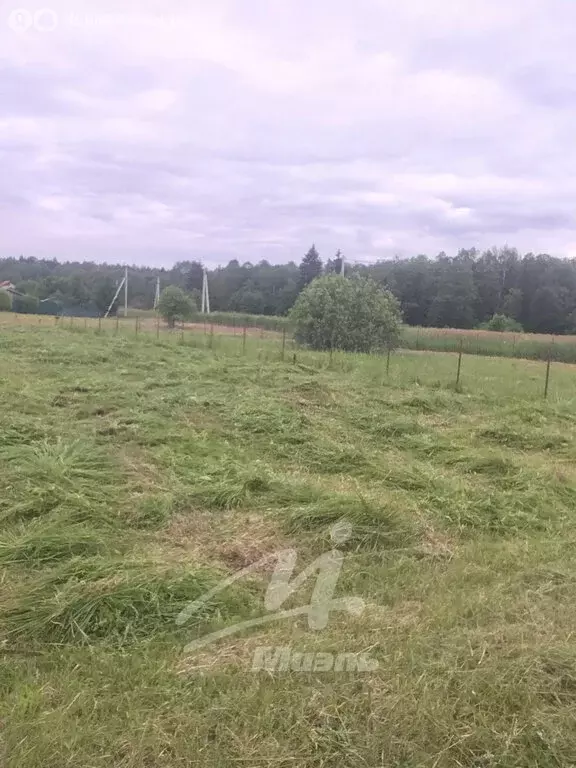 Участок в Московская область, городской округ Клин, садовое ... - Фото 1