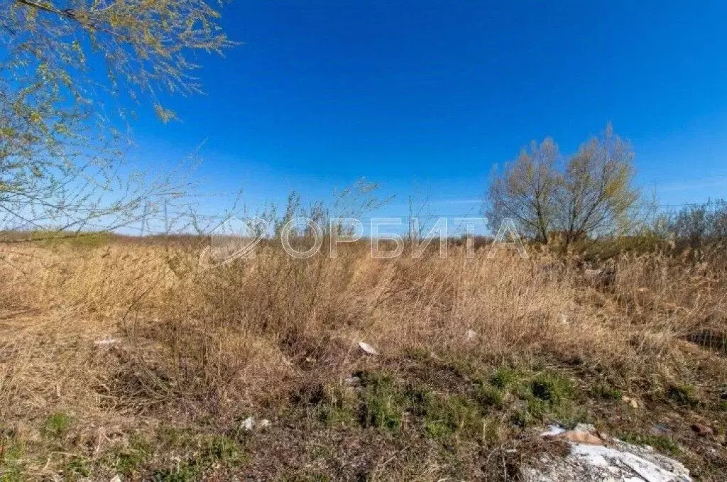 Участок в Тюменская область, Тюмень Энергостроитель СНТ, ул. Липовая ... - Фото 2