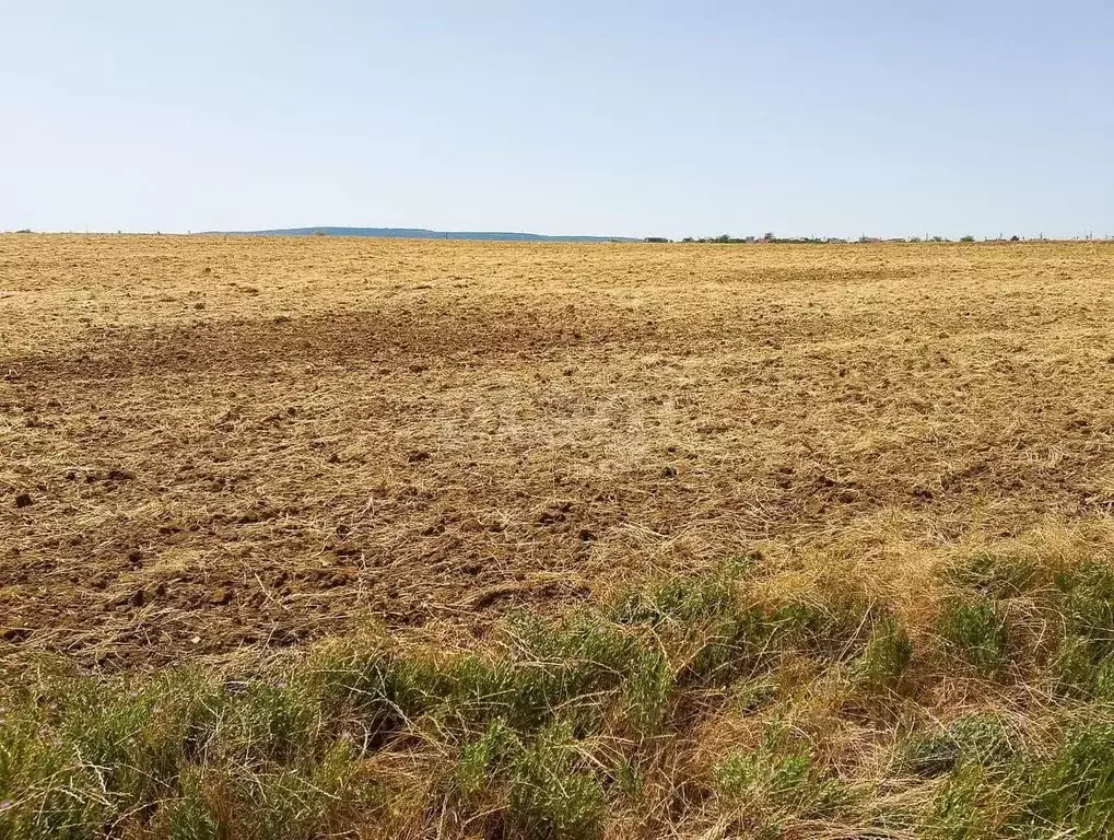 Участок в Крым, Феодосия городской округ, с. Береговое ул. Тракторная ... - Фото 0