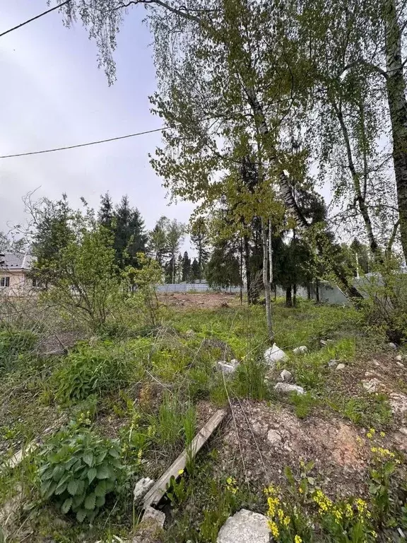 Участок в Московская область, Наро-Фоминский городской округ, д. ... - Фото 0