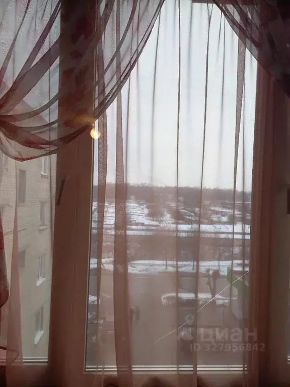 Комната Тамбовская область, Тамбов ул. Новикова-Прибоя, 51к2 (16.0 м) - Фото 2