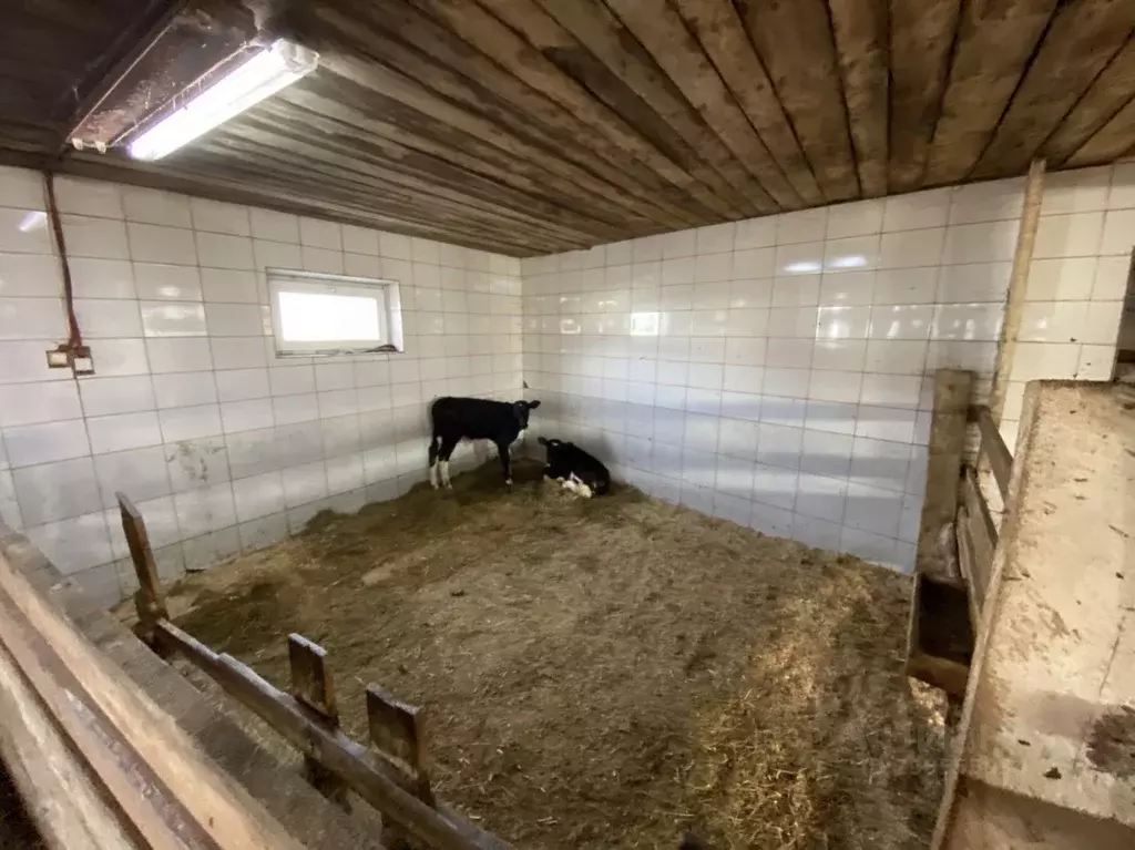 Производственное помещение в Свердловская область, Горноуральский ... - Фото 2