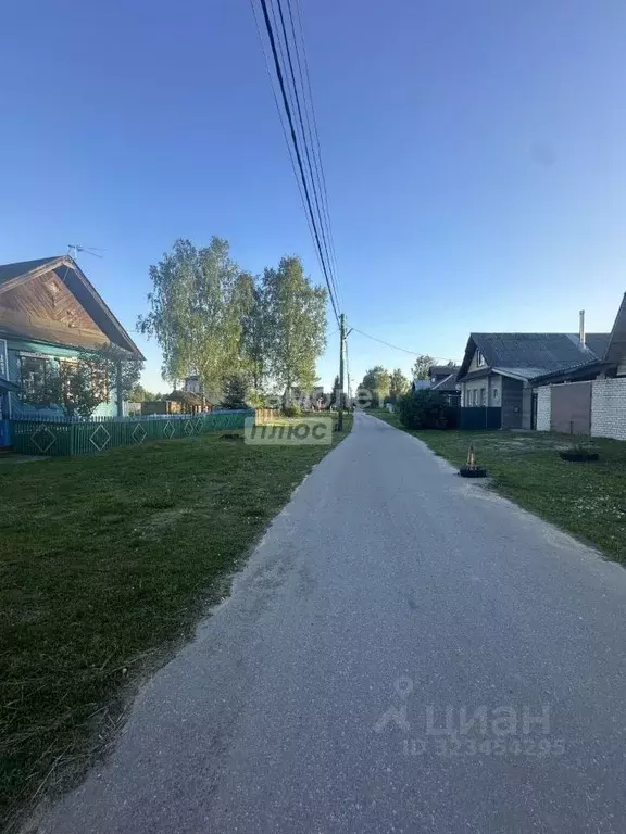 Участок в Нижегородская область, Бор муниципальный округ, д. Ильинское ... - Фото 2