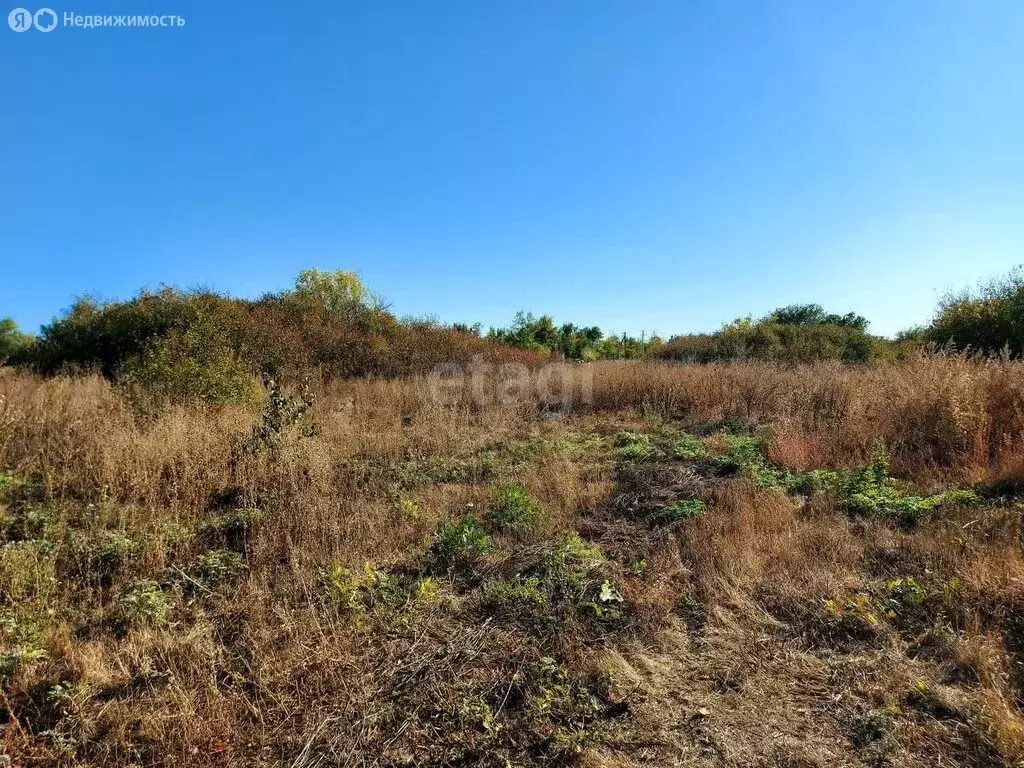 Участок в муниципальное образование Саратов, село Еремеевка (25 м) - Фото 0