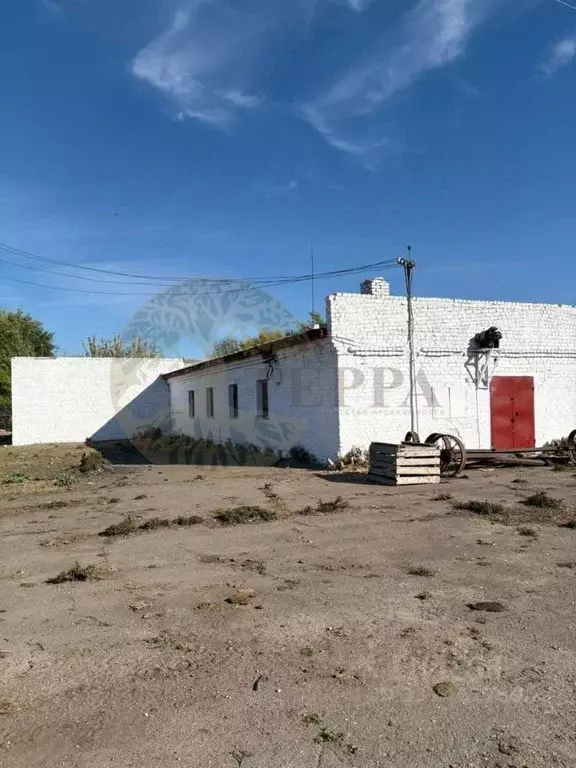 Производственное помещение в Воронежская область, с. Верхний Мамон ул. ... - Фото 1