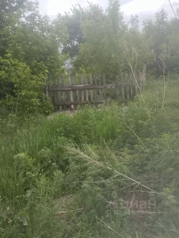Дом в Алтайский край, Калманский район, с. Калманка Зеленая ул., 9 (36 ... - Фото 0