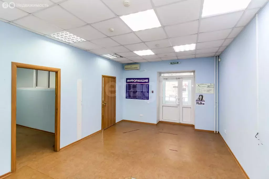 Офис (113.6 м) - Фото 1