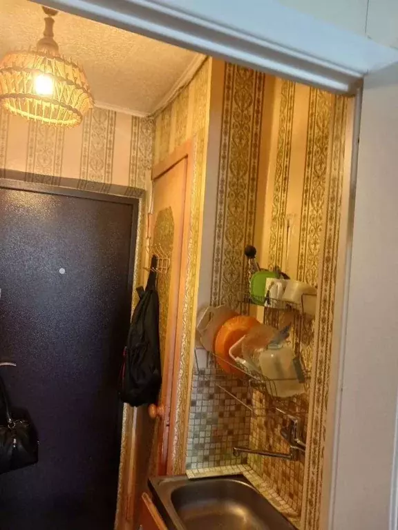 Студия Ленинградская область, Сосновый Бор Сибирская ул., 4 (13.0 м) - Фото 1