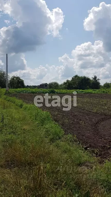Участок в Брянская область, Выгоничский район, Кокинское с/пос, с. ... - Фото 1