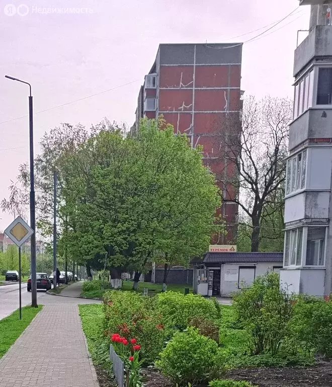 3-комнатная квартира: Советск, Каштановая улица, 20 (73.5 м) - Фото 2