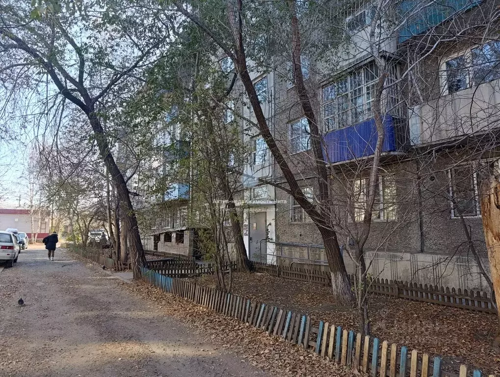 2-к кв. Забайкальский край, Чита ул. Евгения Гаюсана, 28 (46.5 м) - Фото 2