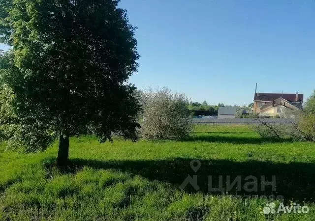 Участок в Ивановская область, Фурмановский район, с. Широково  (12.0 ... - Фото 1