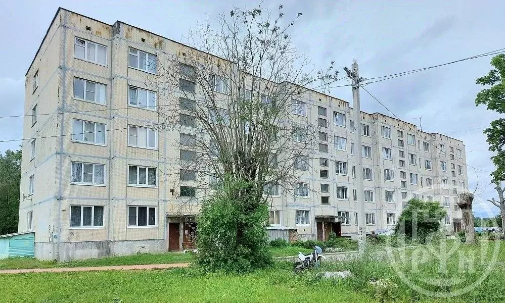 2-к кв. Ленинградская область, Кингисеппский район, Фалилеевское ... - Фото 0