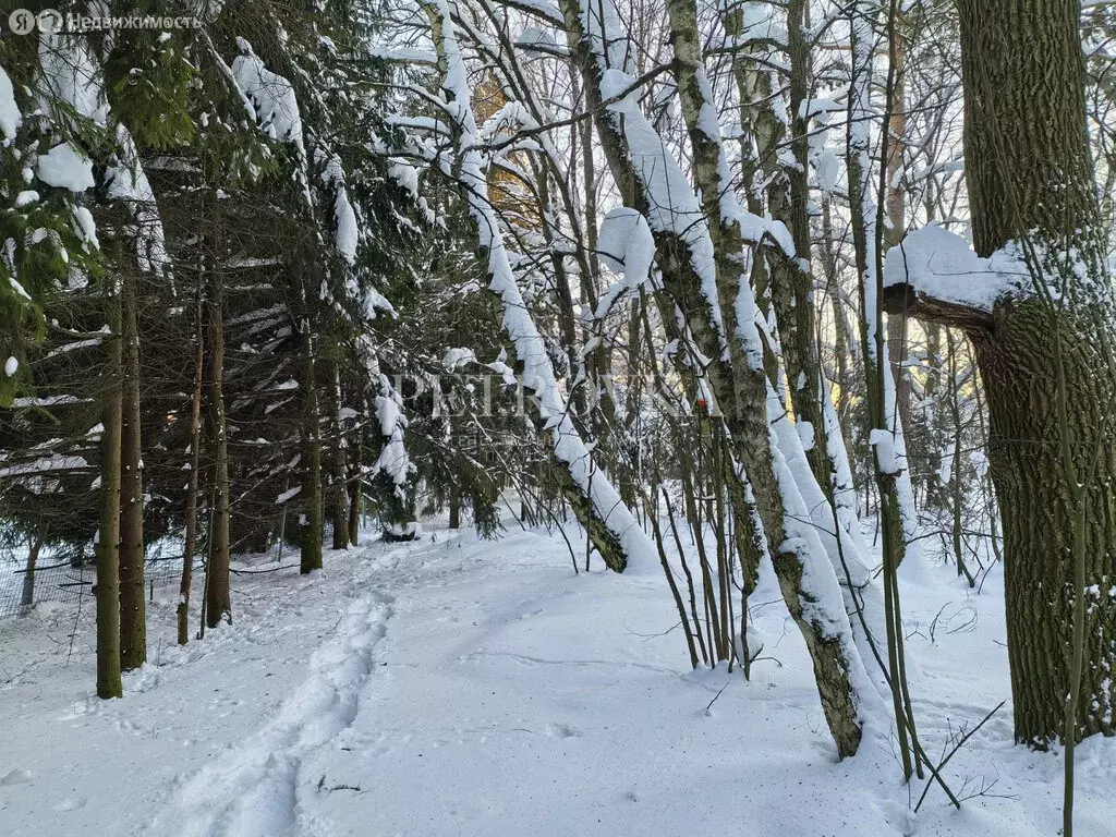 Участок в деревня Мешково, Верхняя улица (9.88 м) - Фото 1