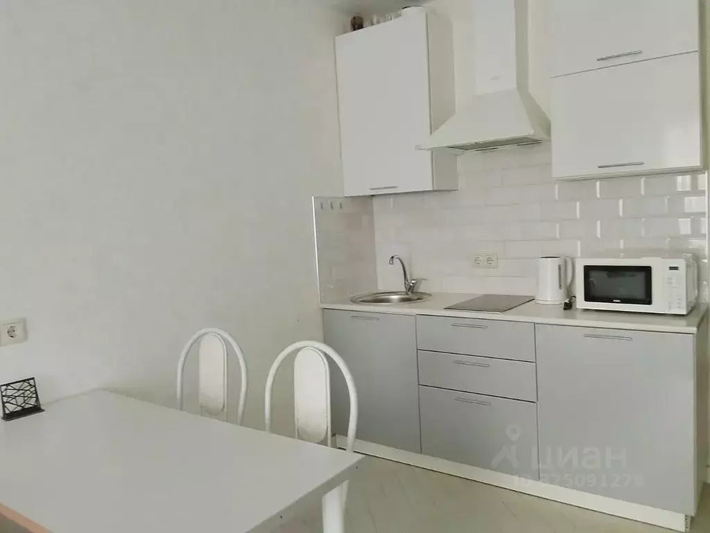 1-к кв. Московская область, Ленинский городской округ, Лопатино пгт ... - Фото 2