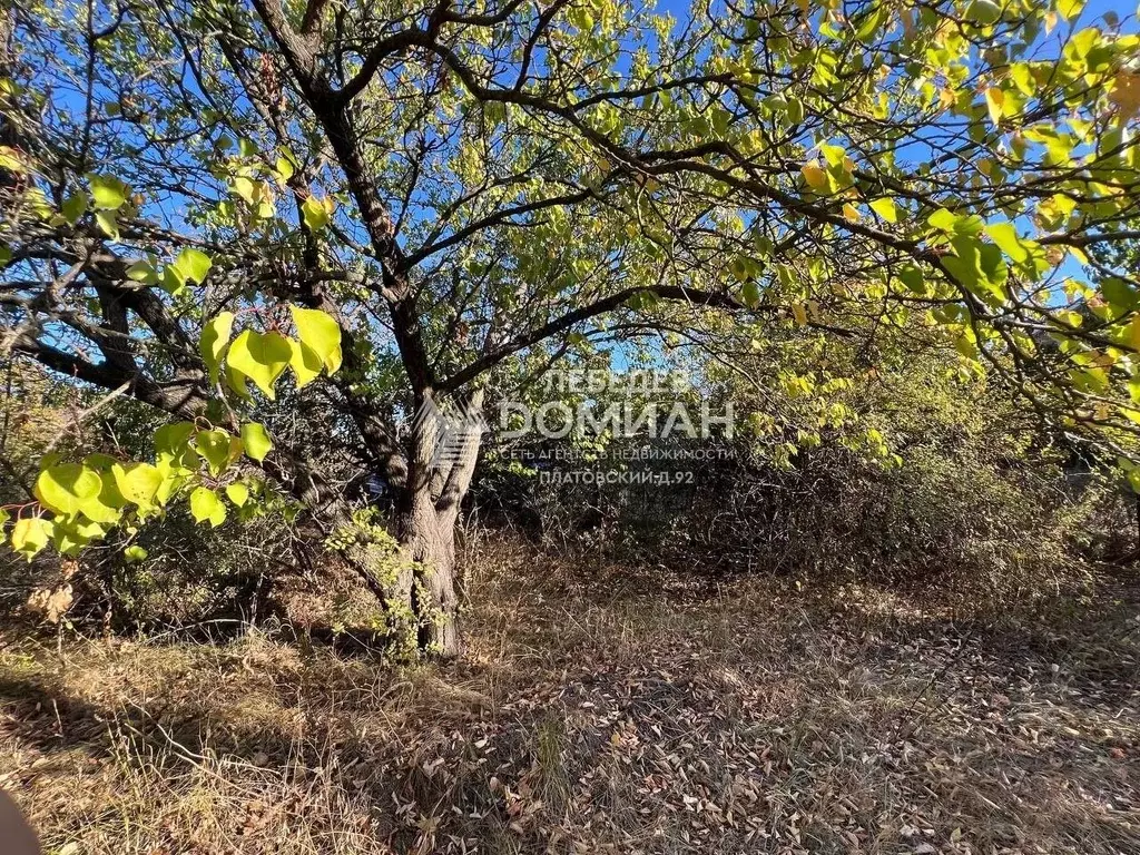 Участок в Ростовская область, Новочеркасск Лиховской пер., 7 (6.0 ... - Фото 2