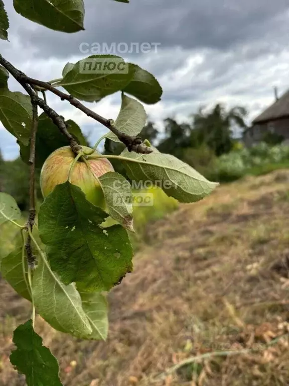 Участок в Брянская область, Брянск ул. Верхняя Лубянка, 99 (40.0 сот.) - Фото 1