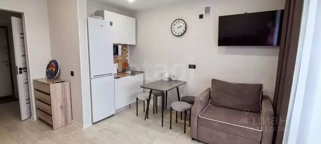 Студия Амурская область, Благовещенский район, с. Чигири ул. ... - Фото 2