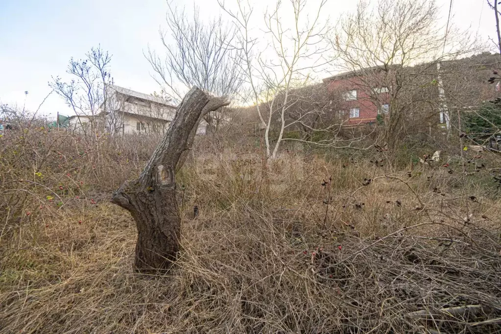 Участок в Севастополь, Севастополь, Балаклава г. Благодатный ... - Фото 1