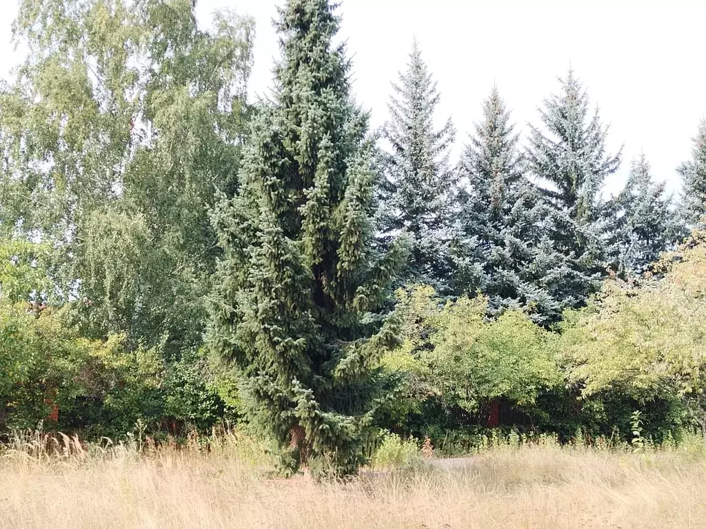 Участок в Московская область, Одинцовский городской округ, д. Дубцы 18 ... - Фото 2