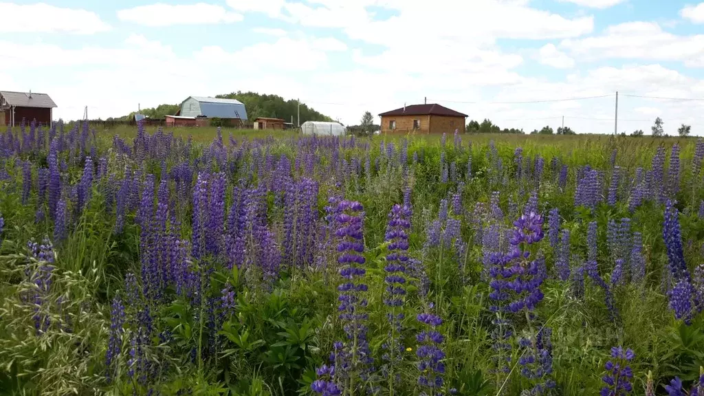 Участок в Владимирская область, Петушинский район, д. Жары  (10.0 ... - Фото 2