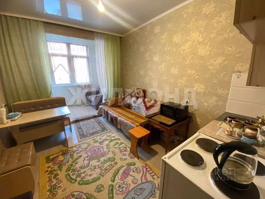 Студия Хакасия, Абакан просп. Дружбы Народов, 41А (18.0 м) - Фото 2