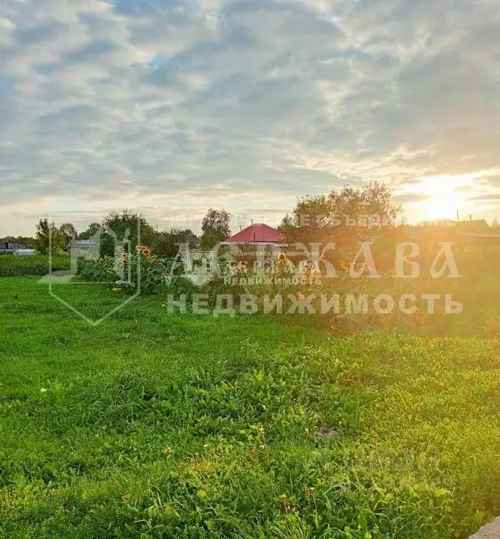 Дом в Кемеровская область, Промышленная пгт ул. Колхозная, 62 (40 м) - Фото 1