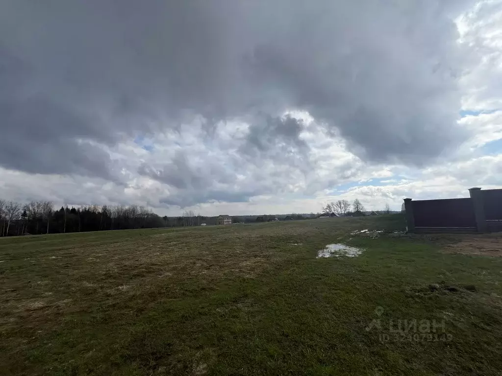 Участок в Владимирская область, Александровский муниципальный округ, ... - Фото 2