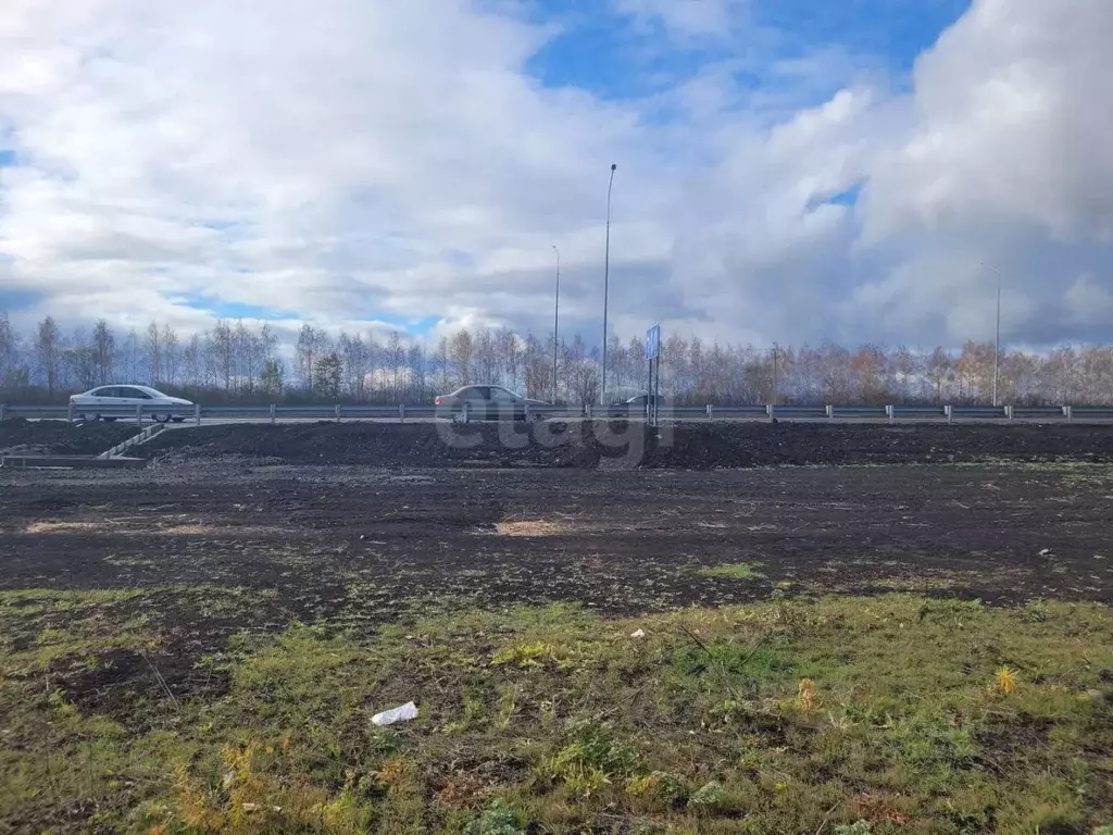 Участок в Ульяновская область, Ульяновск городской округ, с. Луговое ... - Фото 2