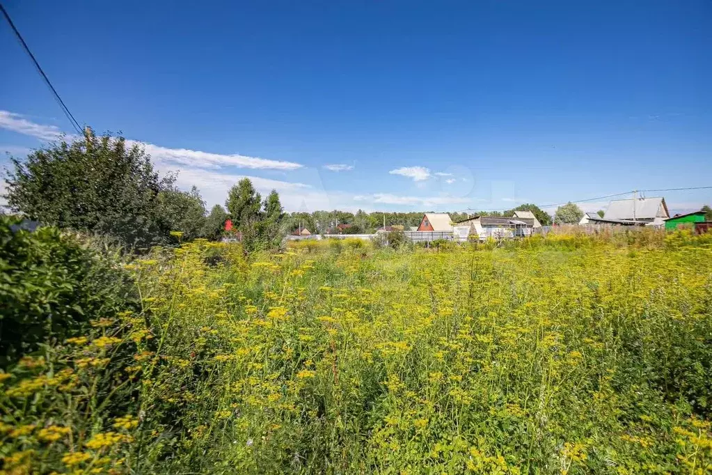 Участок 5,6 сот. (СНТ, ДНП) - Фото 0