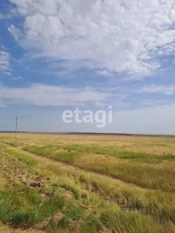 Участок в Крым, Черноморский район, с. Новоивановка ул. Дорожная (7.0 ... - Фото 0