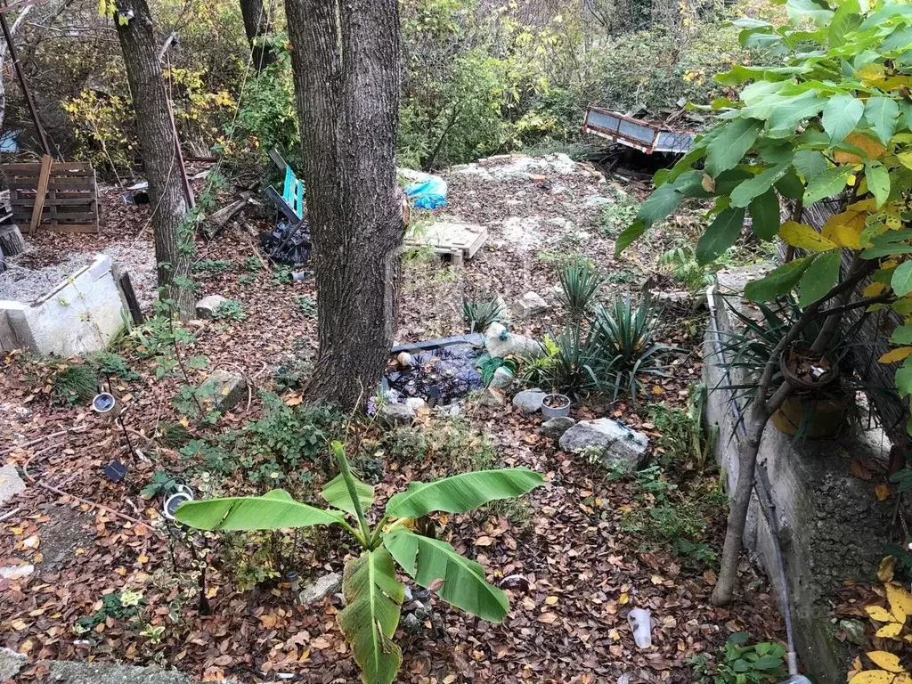 Участок в Крым, Ялта муниципальный округ, Виноградное пгт  (4.0 сот.) - Фото 2