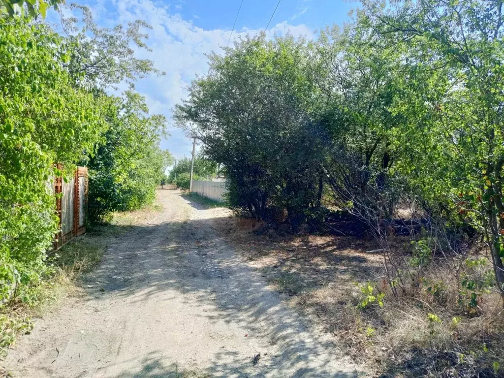 Участок в Краснодарский край, Ейское городское поселение, пос. ... - Фото 1