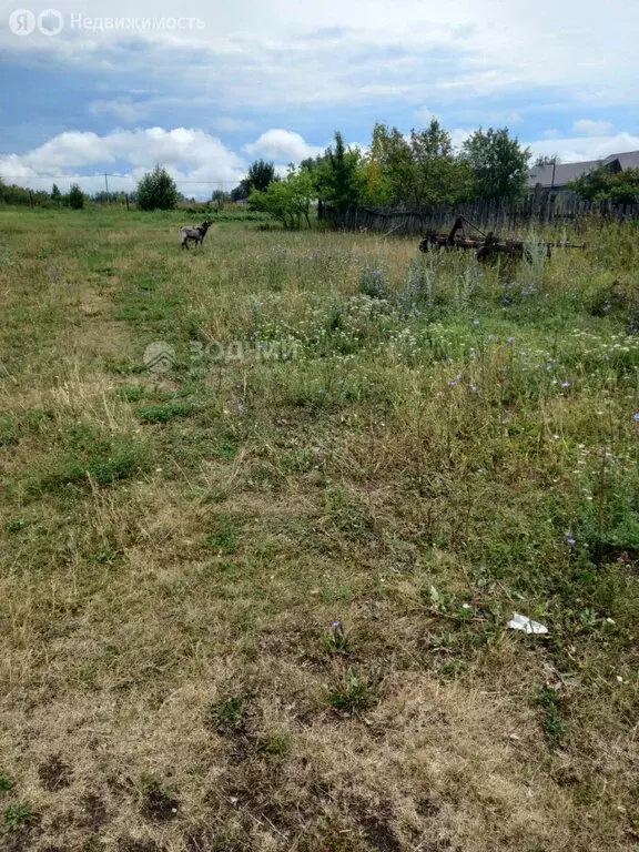Участок в село Шибылги, улица Ленина, 19 (12 м) - Фото 1